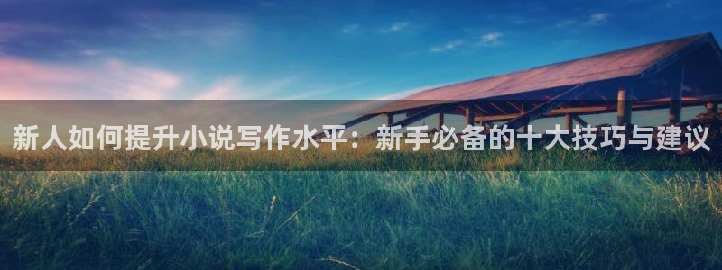 笔趣阁全本小说阅读：新人如何提升小说写作水平：新手必备的十大技巧与建议